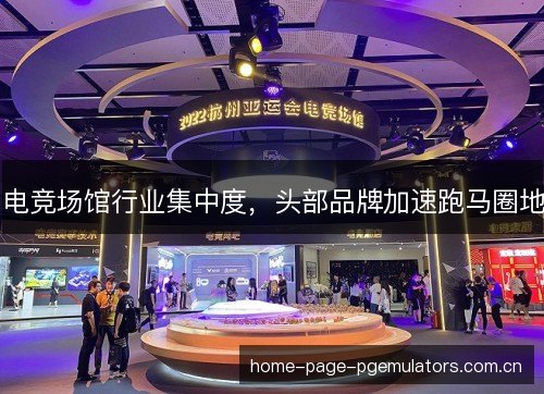 电竞场馆行业集中度，头部品牌加速跑马圈地